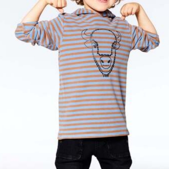 Deux par Deux Bison Buffalo Hoodie 18m Stripes Brown Blue - Picture 1 of 6